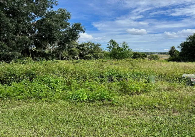 Photo 1 of Land for sale at 475 Long And Winding Rd, Howey In The Hills, FL 34737 | MLS# O6447281 | Listing updated on 2026-10-06