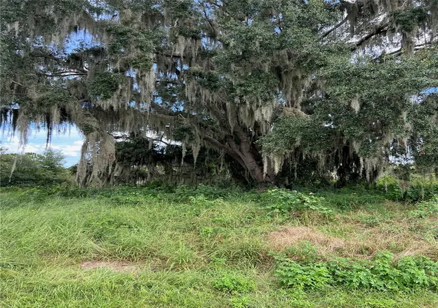 Photo 3 of Land for sale at 475 Long And Winding Rd, Howey In The Hills, FL 34737 | MLS# O6447281 | Listing updated on 2026-10-06
