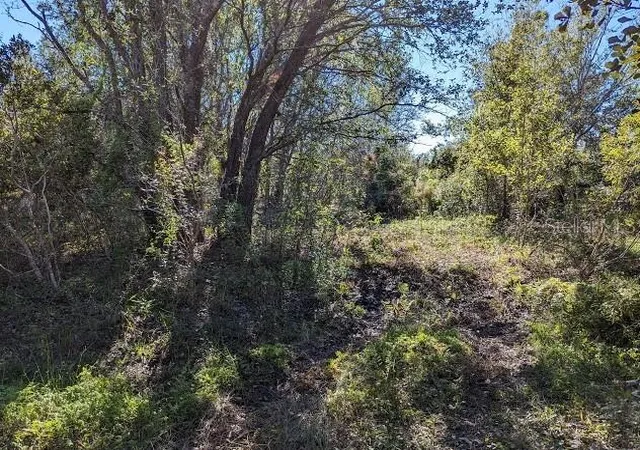 Photo 2 of Land for sale at 5570 Juel Gill Rd, Myakka City, FL 34251 | MLS# TB8554973 | Listing updated on 2026-10-06
