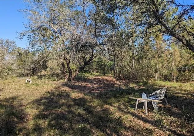 Photo 4 of Land for sale at 5570 Juel Gill Rd, Myakka City, FL 34251 | MLS# TB8554973 | Listing updated on 2026-10-06