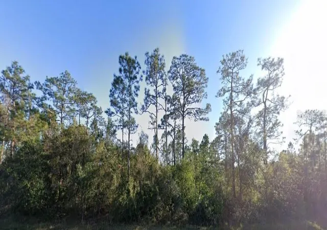 Photo 3 of Land for sale at 20106 E Colonial Dr, Christmas, FL 32709 | MLS# O6447289 | Listing updated on 2026-10-06