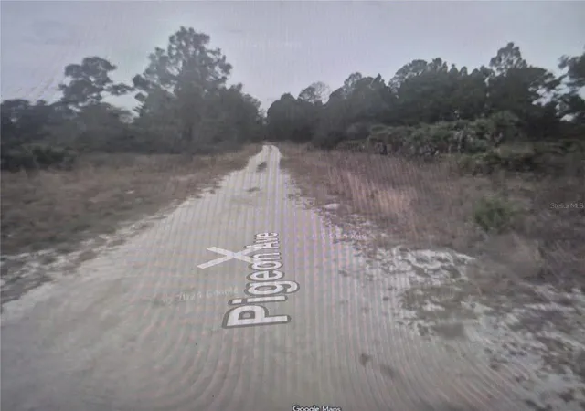 Photo 2 of Land for sale at 274 Pigeon Ave, Sebring, FL 33870 | MLS# O6447299 | Listing updated on 2026-10-06