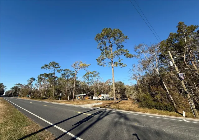 Land for sale at 71 SE State Rd 24, BRONSON, FL 32621 | MLS# GC543971