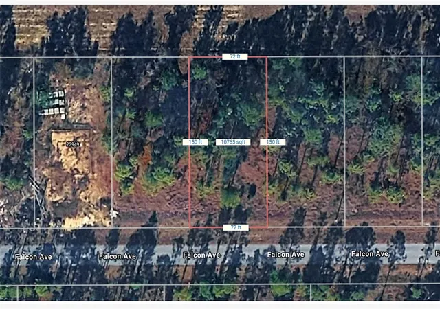 Photo 3 of Land for sale at NW Falcon Ave, Dunnellon, FL 34431 | MLS# O6447331 | Listing updated on 2026-10-06