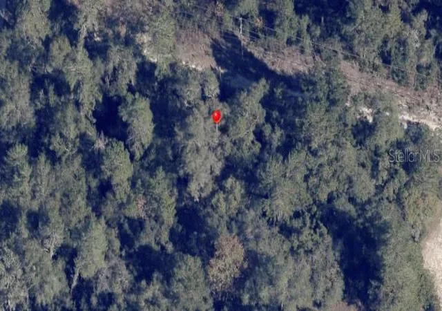 Photo 2 of Land for sale at 2940 Southwest 155th Ln, Ocala, FL 34473 | MLS# O6447332 | Listing updated on 2026-10-06