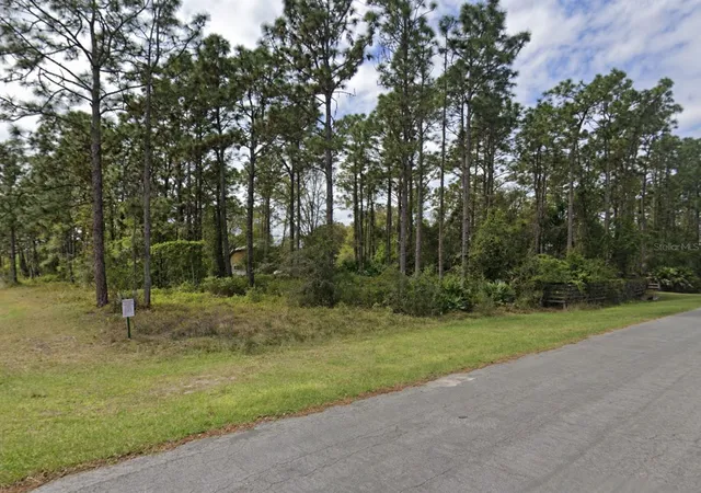 Land for sale at Sheldon St, ORLANDO, FL 32833 | MLS# O6447343