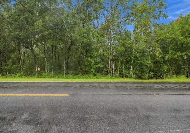 Land for sale at 000 Emerson Rd, BROOKSVILLE, FL 34601 | MLS# W7890100