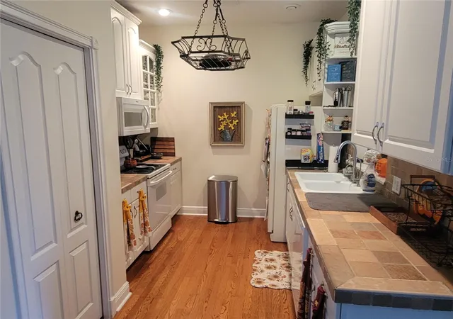 Photo 4 of Single family home for sale at 206 Fearon Ave, Mount Dora, FL 32757 | MLS# O6447417 | Listing updated on 2026-10-06