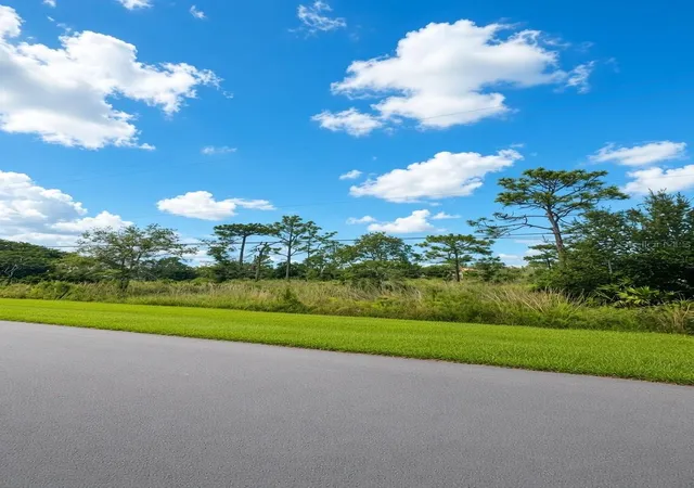 Photo 4 of Land for sale at 00 Nettleton St, Orlando, FL 32833 | MLS# O6447425 | Listing updated on 2026-10-06