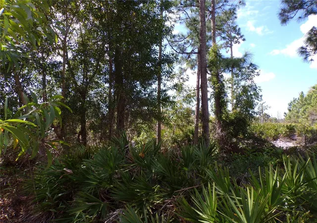 Photo 3 of Land for sale at 12253 Green Gulf Blvd, Punta Gorda, FL 33955 | MLS# C7531590 | Listing updated on 2026-10-06