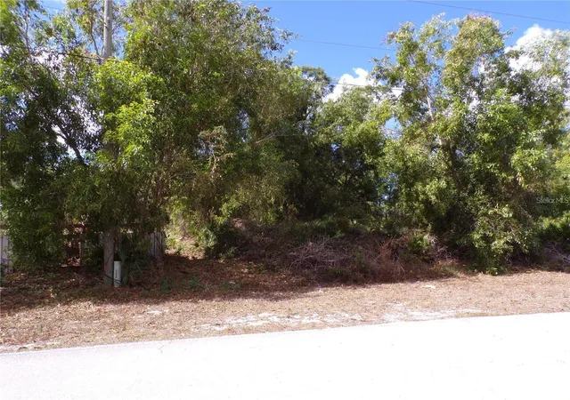 Photo 1 of Land for sale at 12253 Green Gulf Blvd, Punta Gorda, FL 33955 | MLS# C7531590 | Listing updated on 2026-10-06