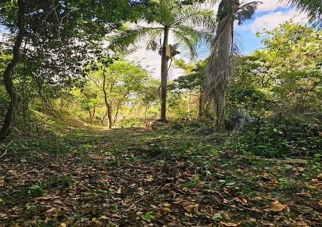 Photo 3 of Land for sale at 829 St Santa Olaya #10, Bayamon, PR 00956 | MLS# PR9124736 | Listing updated on 2026-10-06