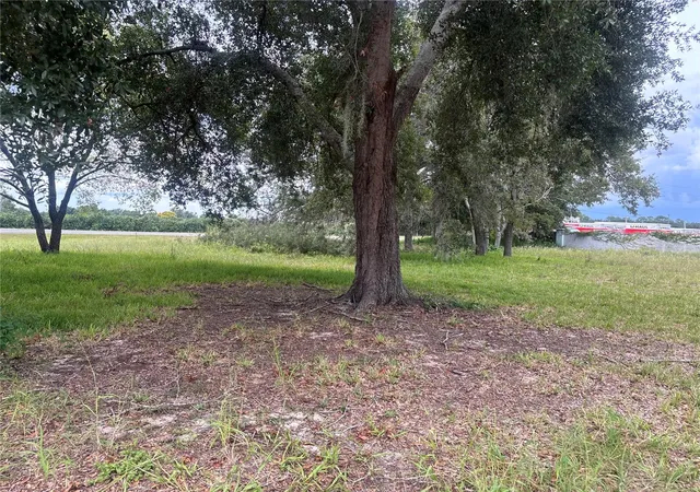 Land for sale at State Rd 19, TAVARES, FL 32778 | MLS# O6447524