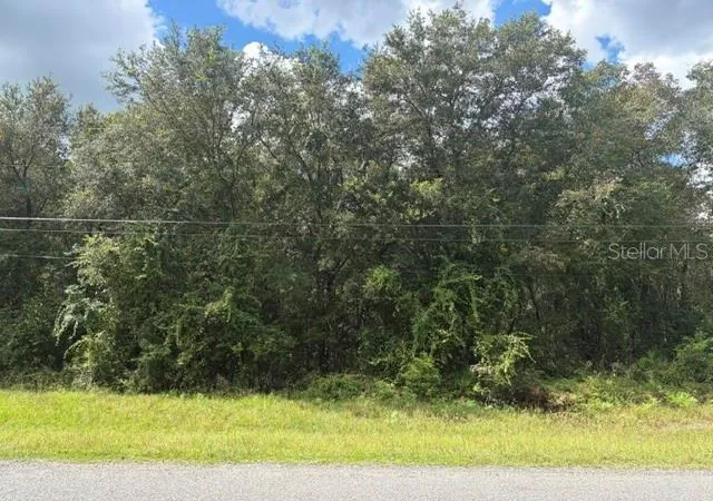 Photo 3 of Land for sale at 5177 Culbreath Rd, Brooksville, FL 34601 | MLS# W7890117 | Listing updated on 2026-10-06