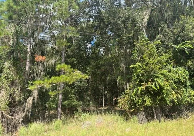 Photo 3 of Land for sale at Pine Cabin Rd, Brooksville, FL 34601 | MLS# W7890119 | Listing updated on 2026-10-06