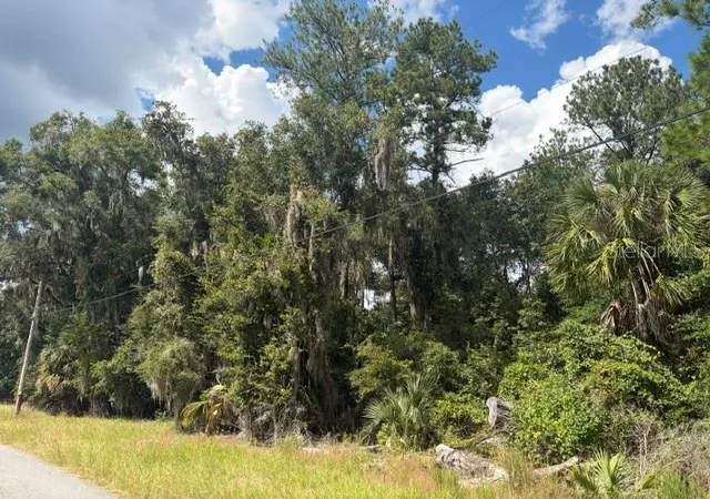 Photo 3 of Land for sale at Pine Cabin Rd, Brooksville, FL 34601 | MLS# W7890119 | Listing updated on 2026-10-06