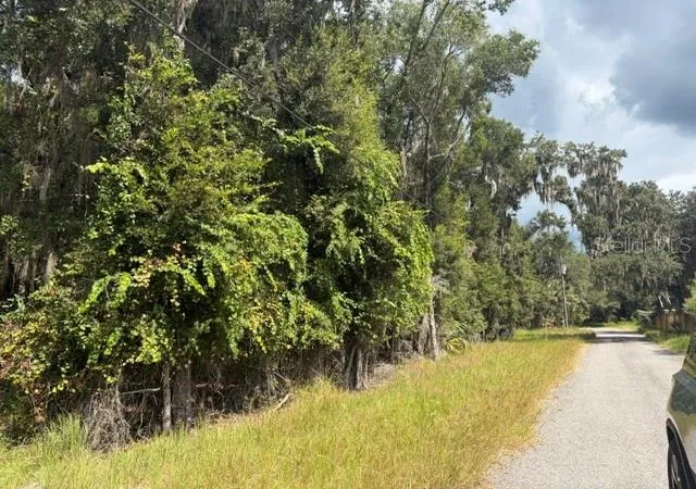 Photo 4 of Land for sale at Pine Cabin Rd, Brooksville, FL 34601 | MLS# W7890119 | Listing updated on 2026-10-06