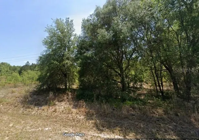 Photo 3 of Land for sale at Locust Rd, Ocala, FL 34472 | MLS# O6447553 | Listing updated on 2026-10-06