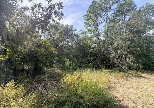 Photo 1 of Land for sale at 5066 E Anna Jo Dr, Inverness, FL 34452 | MLS# OM733511 | Listing updated on 2026-10-06