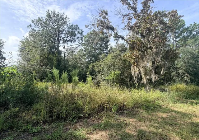 Photo 2 of Land for sale at 5066 E Anna Jo Dr, Inverness, FL 34452 | MLS# OM733511 | Listing updated on 2026-10-06