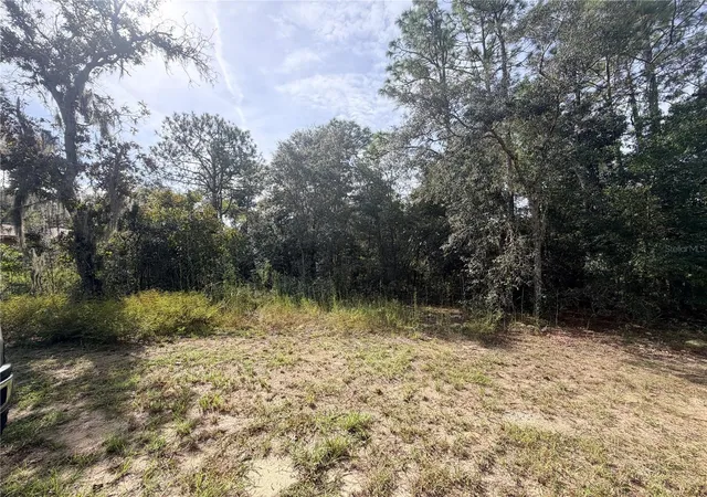 Photo 3 of Land for sale at 5066 E Anna Jo Dr, Inverness, FL 34452 | MLS# OM733511 | Listing updated on 2026-10-06
