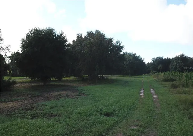 Photo 3 of Land for sale at W Lake Yale Rd, Umatilla, FL 32784 | MLS# G5118701 | Listing updated on 2026-10-09