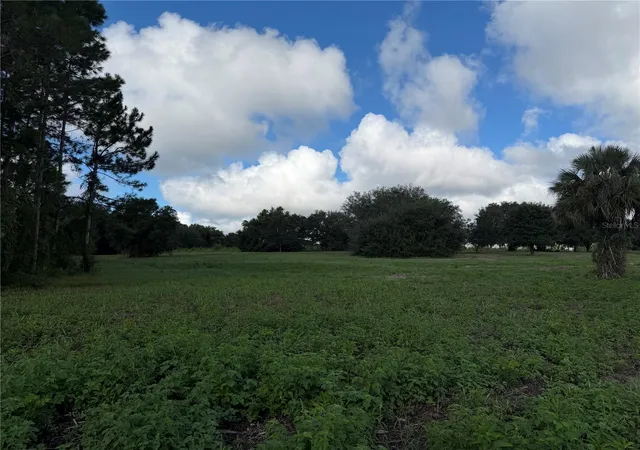 Photo 3 of Land for sale at W Lake Yale Rd, Umatilla, FL 32784 | MLS# G5118701 | Listing updated on 2026-10-09