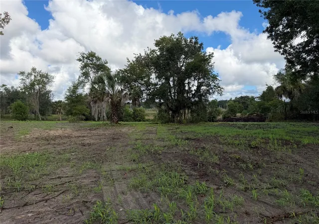 Photo 4 of Land for sale at W Lake Yale Rd, Umatilla, FL 32784 | MLS# G5118701 | Listing updated on 2026-10-09