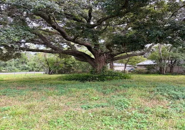 Photo 3 of Single family home for sale at 21103 Reindeer Rd, Christmas, FL 32709 | MLS# O6447617 | Listing updated on 2026-10-08