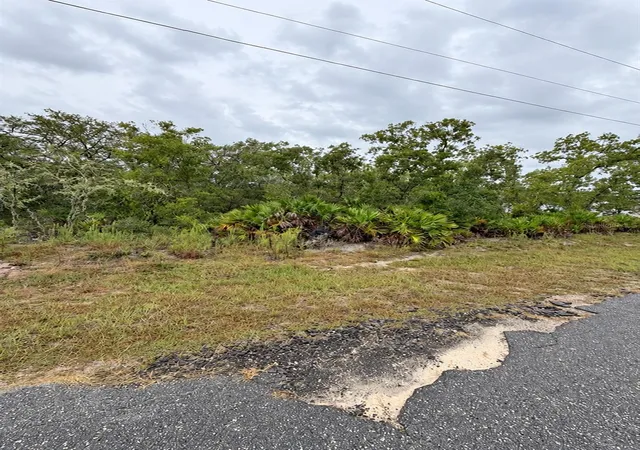 Photo 4 of Land for sale at 0 Fisher Loop Crse, Ocklawaha, FL 32179 | MLS# OM733527 | Listing updated on 2026-10-07
