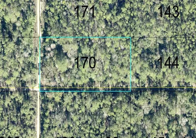 Land for sale at 170 Dilllion Ave, HASTINGS, FL 32145 | MLS# FC321948