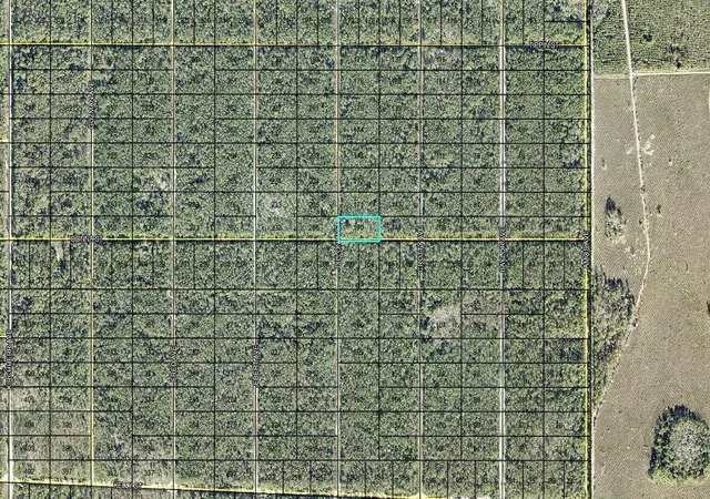 Photo 2 of Land for sale at 170 Dilllion Ave, Hastings, FL 32145 | MLS# FC321948 | Listing updated on 2026-10-07