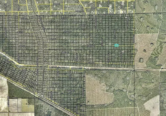Photo 3 of Land for sale at 170 Dilllion Ave, Hastings, FL 32145 | MLS# FC321948 | Listing updated on 2026-10-07