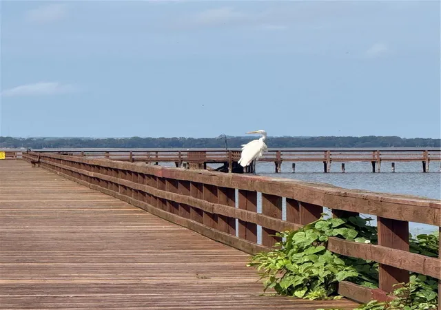 Photo 2 of Land for sale at 414 Camellia Dr #7, Indian Lake Estates, FL 33855 | MLS# L4965591 | Listing updated on 2026-10-07