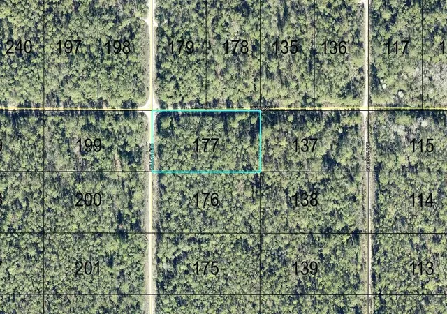 Land for sale at 177 Dillion Ave, HASTINGS, FL 32145 | MLS# FC321950
