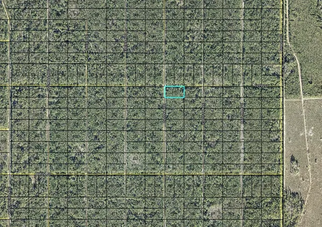 Photo 2 of Land for sale at 177 Dillion Ave, Hastings, FL 32145 | MLS# FC321950 | Listing updated on 2026-10-07