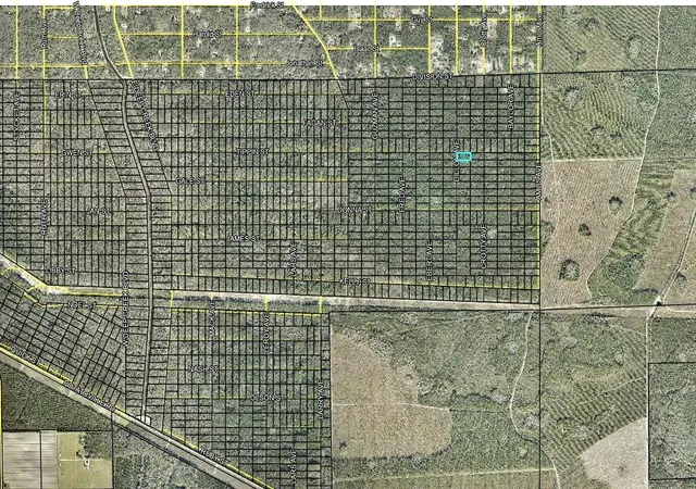Photo 3 of Land for sale at 177 Dillion Ave, Hastings, FL 32145 | MLS# FC321950 | Listing updated on 2026-10-07