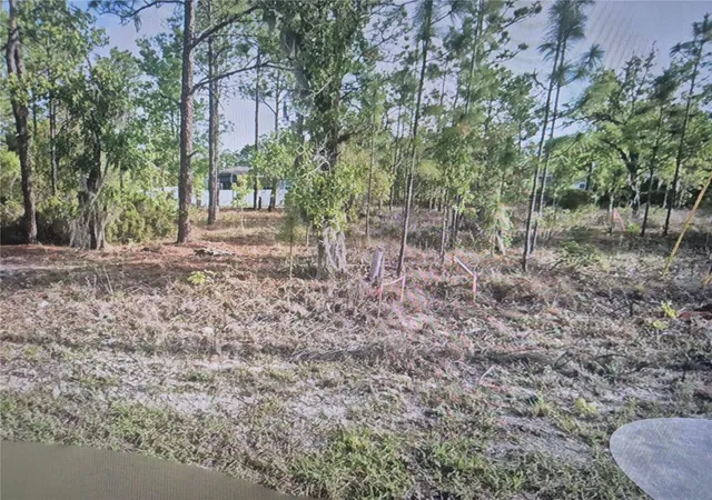 Land for sale at 2651 W Bravura Dr, CITRUS SPRINGS, FL 34433 | MLS# O6447731