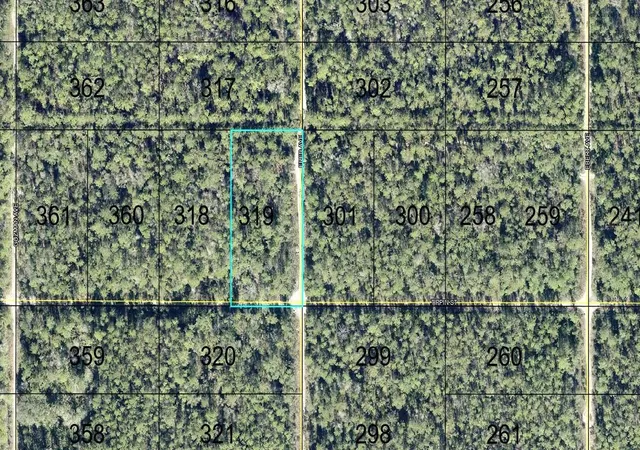 Land for sale at 319 Tippin St, HASTINGS, FL 32145 | MLS# FC321951