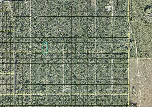 Photo 2 of Land for sale at 319 Tippin St, Hastings, FL 32145 | MLS# FC321951 | Listing updated on 2026-10-07