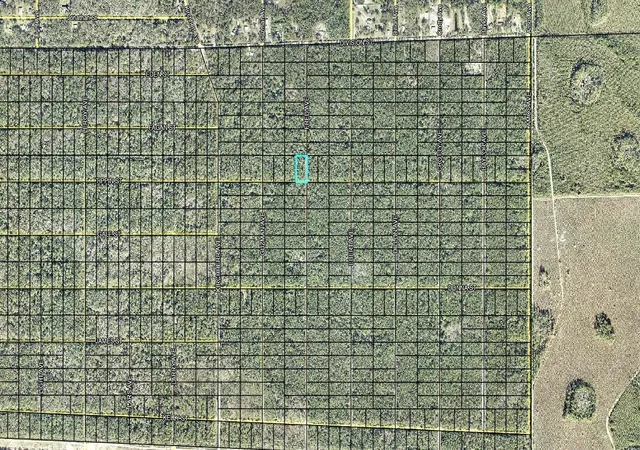 Photo 3 of Land for sale at 319 Tippin St, Hastings, FL 32145 | MLS# FC321951 | Listing updated on 2026-10-07