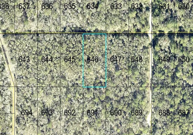 Land for sale at 646 Gale St, HASTINGS, FL 32145 | MLS# FC321954