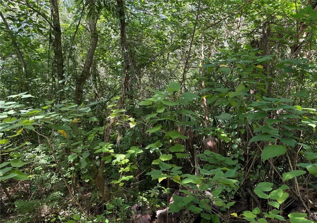 Land for sale at 0 Southeast 118th Pl #105, BELLEVIEW, FL 34420 | MLS# G5118726
