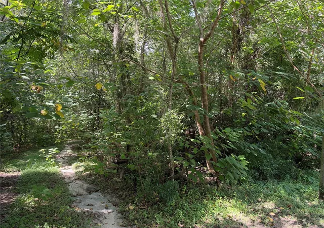 Photo 1 of Land for sale at 0 Southeast 118th Pl #105, Belleview, FL 34420 | MLS# G5118726 | Listing updated on 2026-10-07