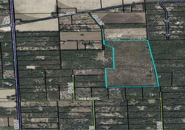 Land for sale at Tbd NE 44th Avenue, HIGH SPRINGS, FL 32643 | MLS# GC544011