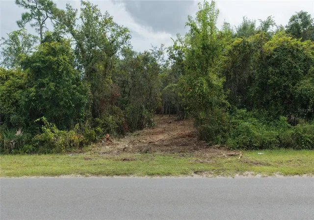 Photo 4 of Land for sale at 0 Lake Mack Dr, Deland, FL 32720 | MLS# O6447822 | Listing updated on 2026-10-07