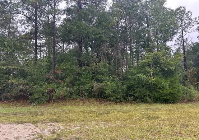 Land for sale at Tbd NE 77th Court, BRONSON, FL 32621 | MLS# GC544015