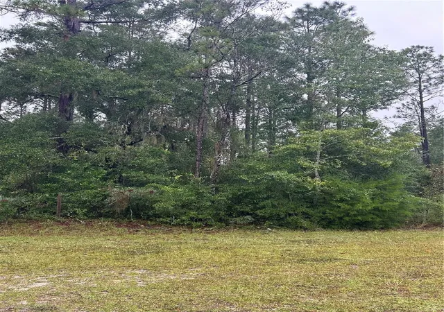 Photo 2 of Land for sale at Tbd NE 77th Court, Bronson, FL 32621 | MLS# GC544015 | Listing updated on 2026-10-07