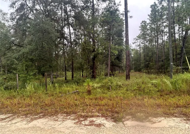 Land for sale at Tbd NE 111th Lane, BRONSON, FL 32621 | MLS# GC544016