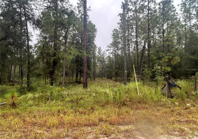 Photo 2 of Land for sale at Tbd NE 111th Lane, Bronson, FL 32621 | MLS# GC544016 | Listing updated on 2026-10-07
